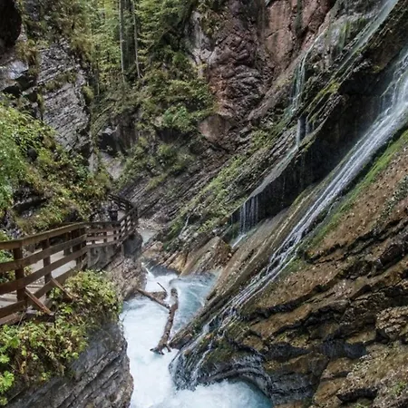 Alpenschwaenchen 2 - Salzschwaenchen 公寓 巴特莱辛哈尔