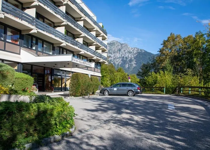 Alpenschwaenchen 2 - Salzschwaenchen * Bad Reichenhall