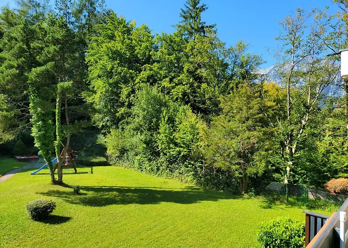 Alpenschwaenchen 2 - Salzschwaenchen Bad Reichenhall